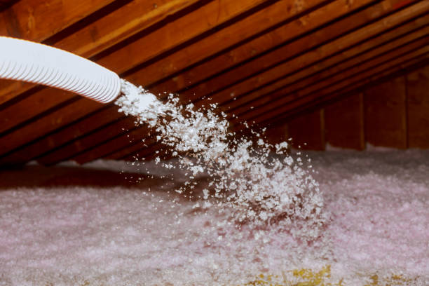 Best Insulation for Specific Applications in Loyola, CA